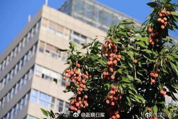 诡异西部长弓点物品有哪些