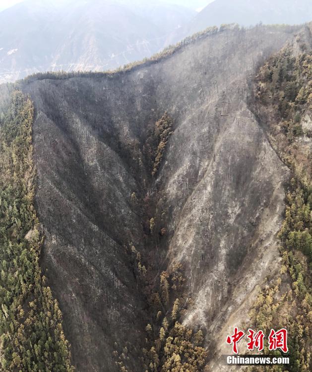 大江湖之苍龙与白鸟拳法武功在哪