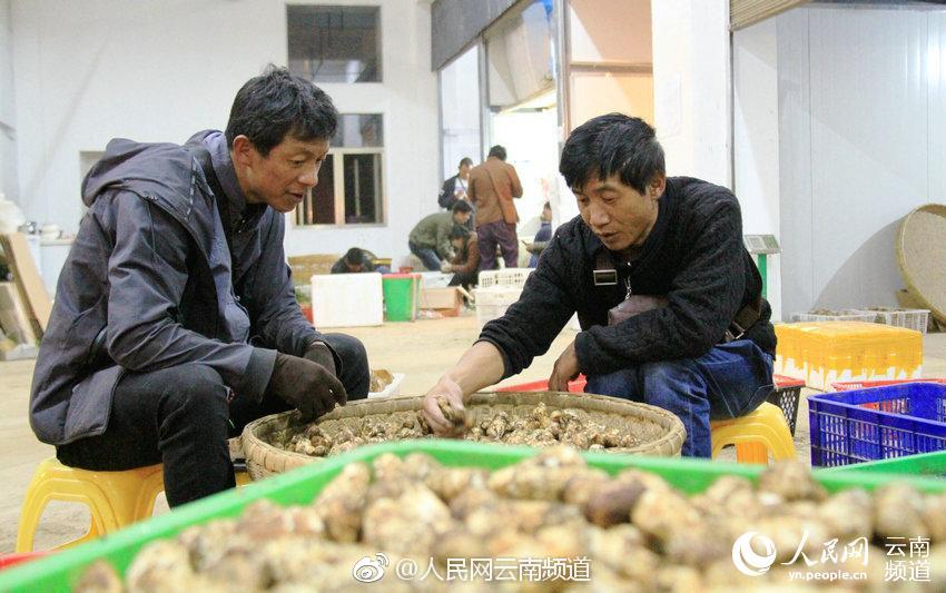 Grounded中立生物卡牌一览