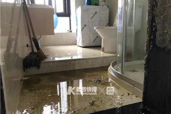 艾尔登法环蓝露滴粪金龟怎么获得