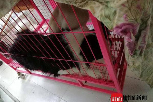 国行PS5免费游戏有什么